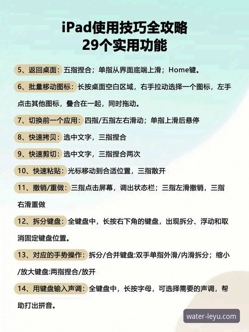 乐鱼电脑版使用技巧：老用户亲测的5个高效操作实用指南